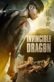 Dragon Invincible Jiu long bu bai VF 2020