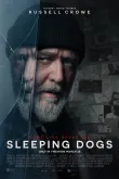 Sleeping Dogs VOSTFR 2024