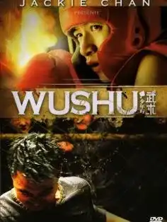 Wushu 2008