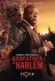 Godfather of Harlem Saison 1 VF 2019